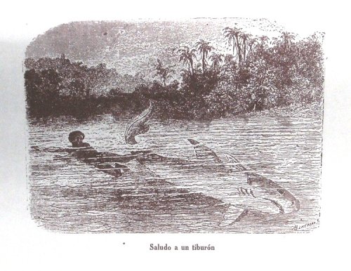 Viaje al la Sierre Nevada de Santa Marta - Paisajes de la Naturaleza Tropical (version Castalleana por J.J.)