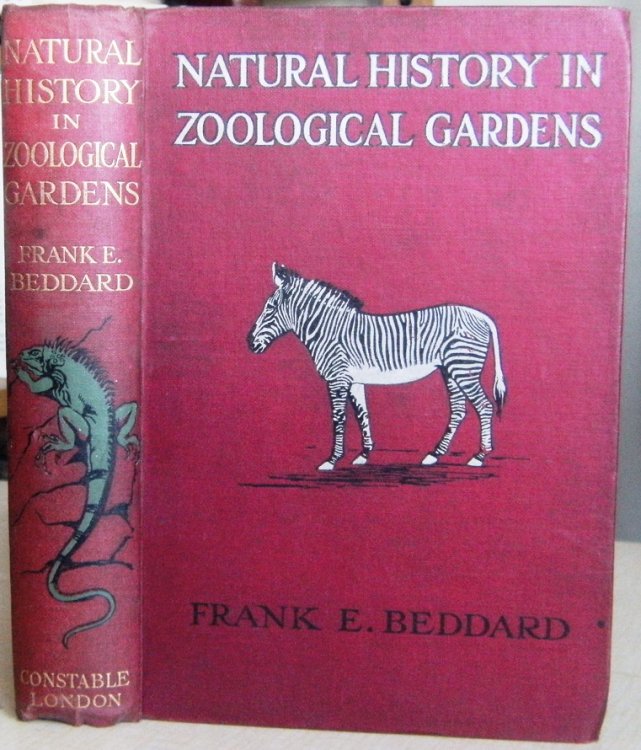 Natural History in Zoological Gardens, being some account ov vertebrated animals, with special reference to those usually to be seen in the Zoological Society's Gardens in London and similar institutions