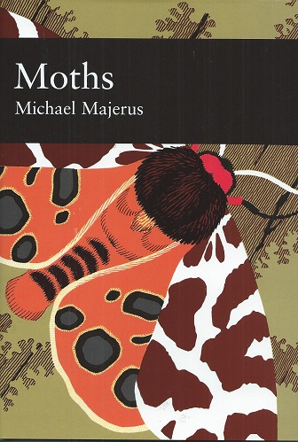 Moths