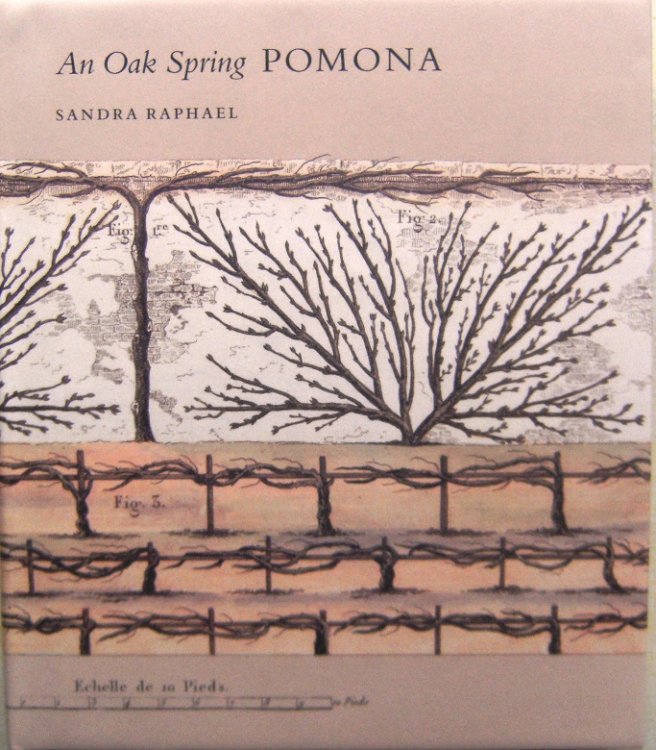 An Oak Spring Pomona