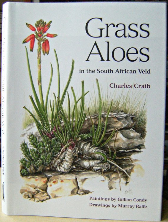 Grass Aloes in the South African Veld