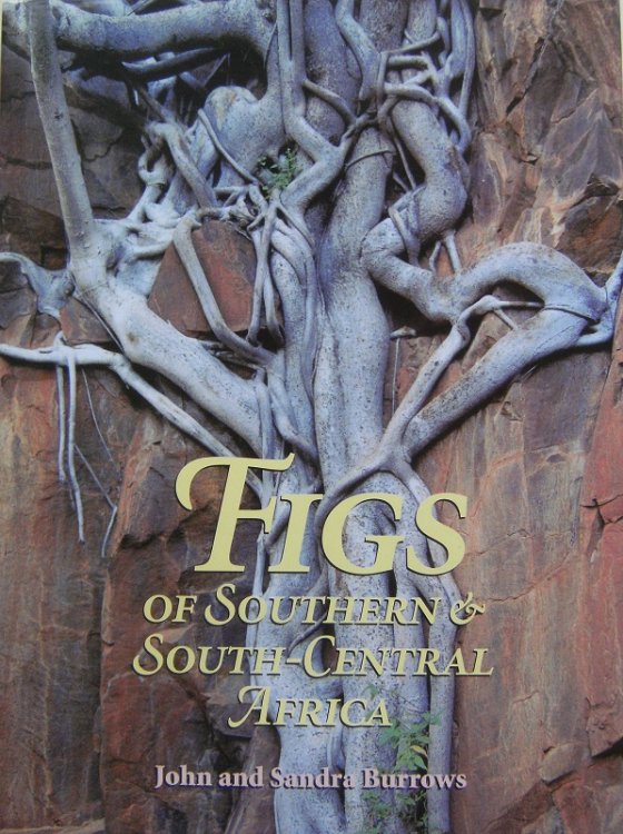 Figs of Southern and South-Central Africa