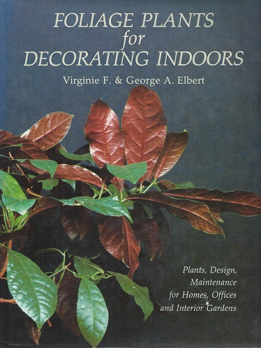 Foliage Plants for Decorating Indoors - plants, design, maintenance for homes, offices and interior gardens