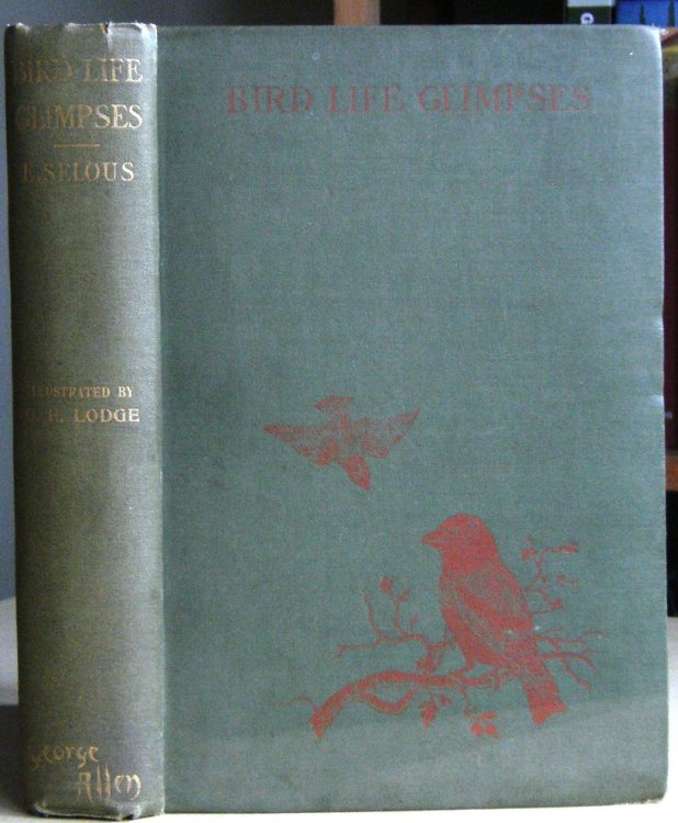 Bird Life Glimpses