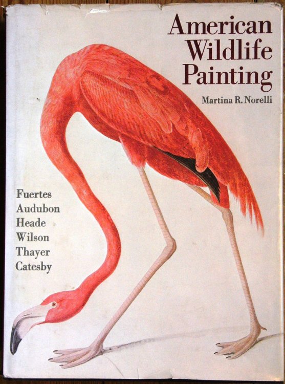 American Wildlife Painting