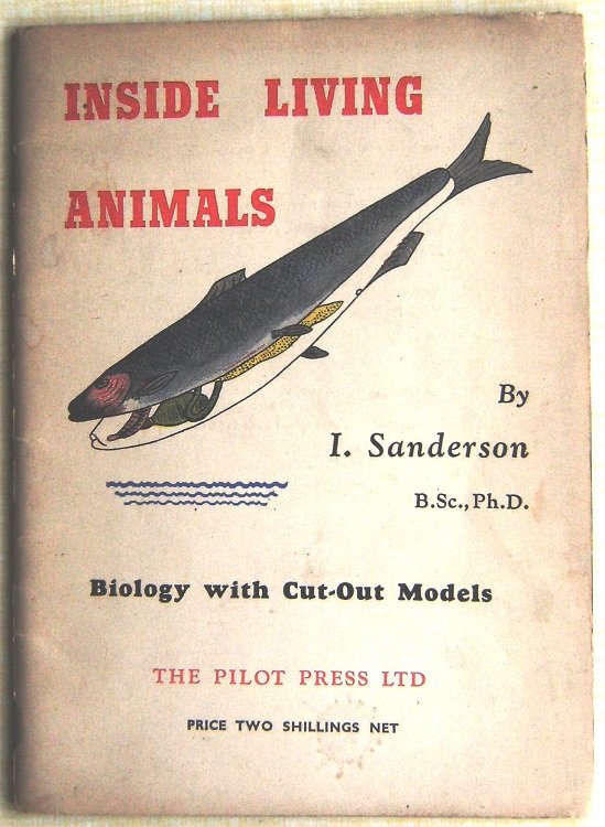 Inside Living Animals (Biology with cut-out models)