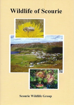 Wildlife of Scourie