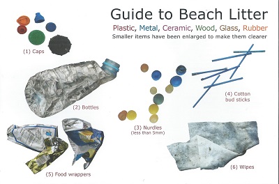 Guide to Beach Litter