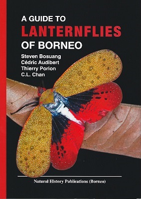 A Guide to Lanternflies of Borneo