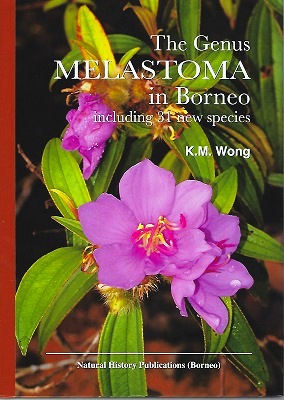 The Genus Melastoma in Borneo, including 31 new species