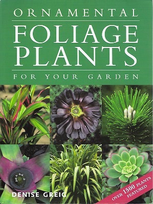 Ornamental Foliage Plants for Your Garden