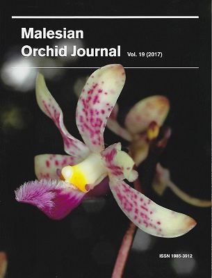 Malesian Orchid Journal Volume 19 - A Taxonomic Revision of Dipodium section Leopardanthus