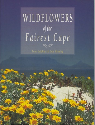 Image for Wildflowers of the Fairest Cape Wildflowers of the Fairest Cape