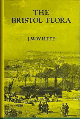 The Flora of Bristol