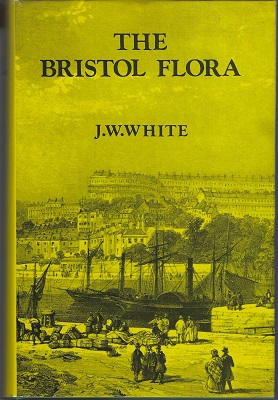 The Flora of Bristol