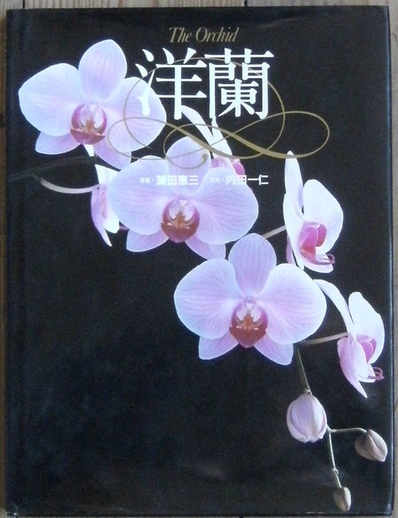 The Orchid
