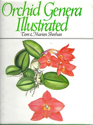 Orchid Genera Illustrated