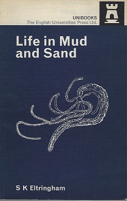 Life in Mud and Sand