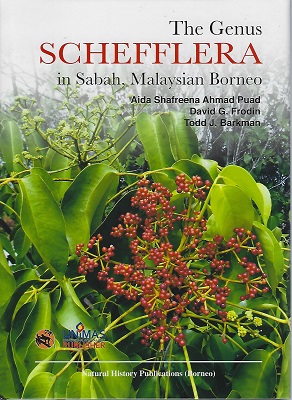 The Genus Schefflera in Sabah, Malaysian Borneo