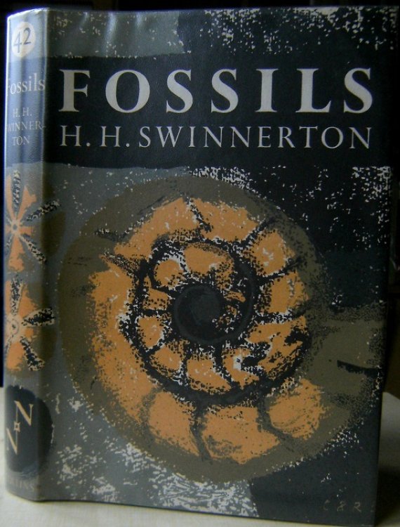 Fossils