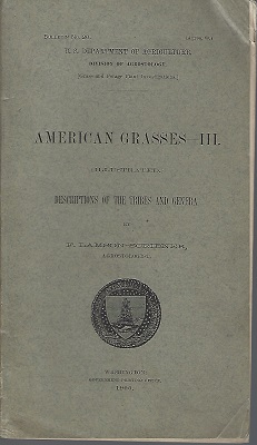 American Grasses - III. Descrptions of the tribes and genera