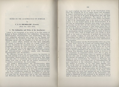 Notes on the Acanthaceae of Surinam. Revision of the Lauraceae III - The Genera Aiouea, Systemodaphne, Urbanodendron, Mezilaurus, additions and corrections to Licaria and Cryptocarya [Recueil Trav. Bot. Nederland] + unidentified article on Cactaceae