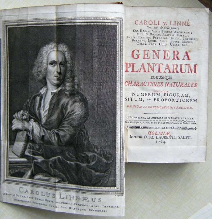Genera plantarum eorumque characteres naturales, secundum numerum, figuram, situm & proportionem omnium fructificationis partium. Editio sextaab auctore reformata et aucta [With the rare portrait]