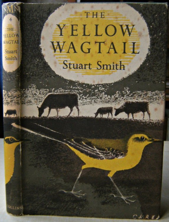 The Yellow Wagtail