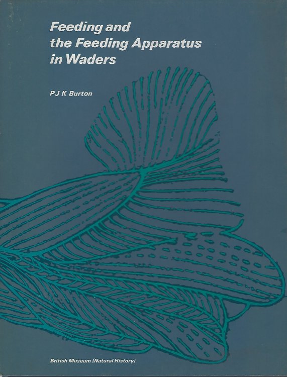 Feeding And The Feeding Apparatus In Waders: A Study Of Anatomy And Adaptations In The Charadrii