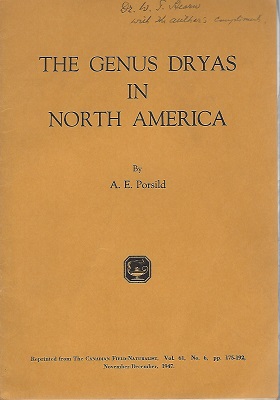 The Genus Dryas in North America (W.T. Stearn's cpy)