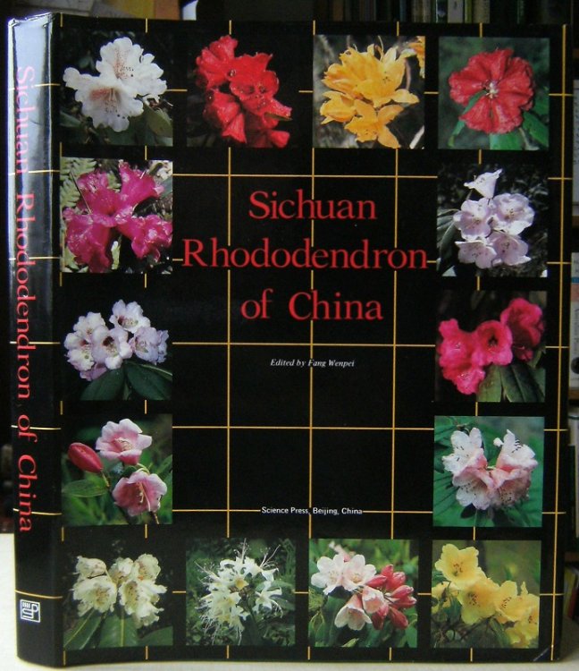 Sichuan Rhododendron of China