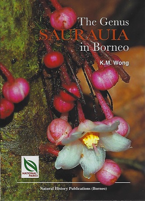 The Genus Saurauia in Borneo - a revision with 62 new species
