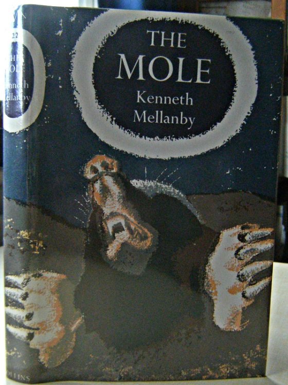 The Mole