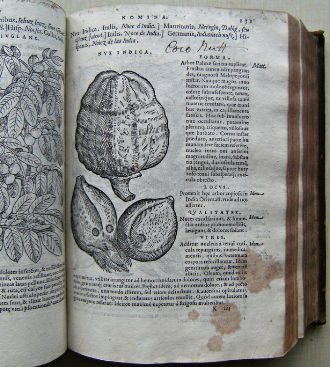 Compendium e Plantis omnibus, vna cum earum iconibus, de quibus scripsit suis in commentariis in Dioscoridem editis, in eorum studiosorum commodum, atque vsum; qui Plantis conquirendis, ac indagandis student. Accessit Praeterea Ad Calcem Opusculum