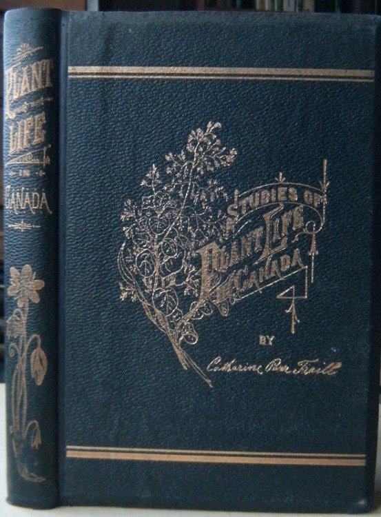 Studies of Plant Life in Canada; or Gleanings from Forest, Lake and Pine