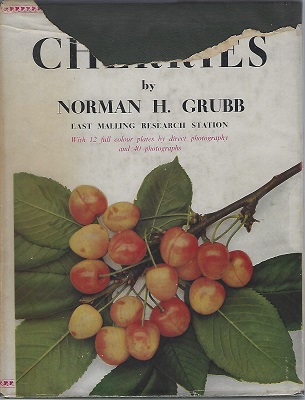 Cherries