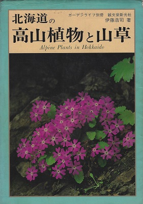 Alpine Plants in Hokkaido