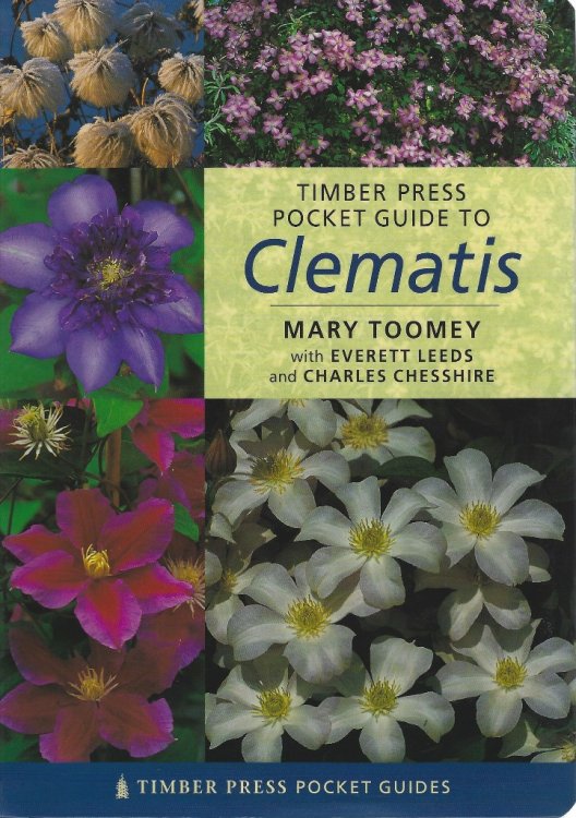 Timber Press Pocket Guide to Clematis