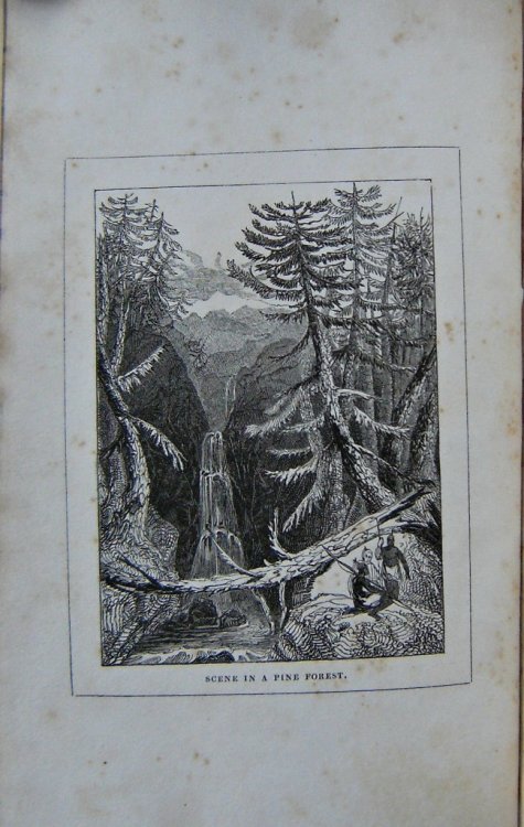 The Botanic Annual ; or Familiar Illustrations of the Structure, Habits, Economy, Geography, Classification and Principal Uses of Plants. And a Short Sketch of the Coniferae.