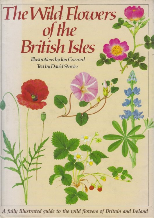 The Wild Flowers of the British Isles
