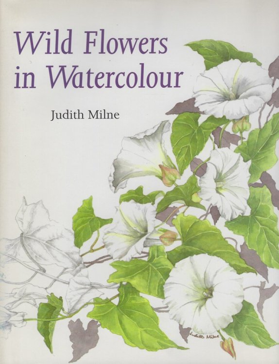 Wild Flowers in Watercolour