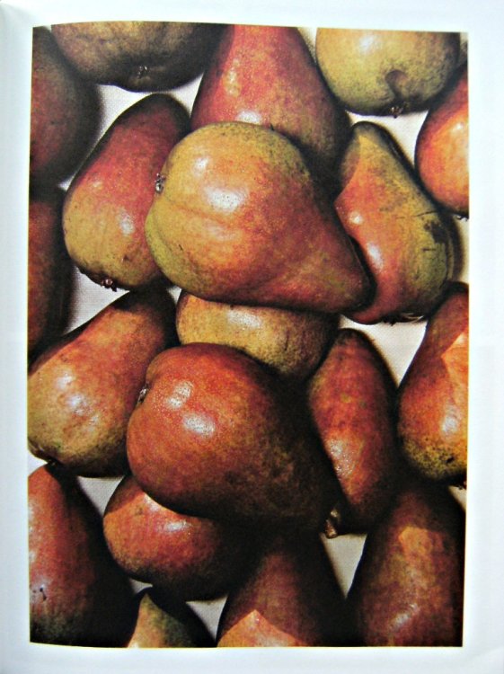 The Orchard and Fruit Garden - a new pomona of hardy and sub-tropical fruits