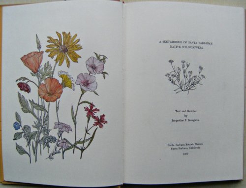 A Sketchbook of Santa Barbara's Native Wildflowers