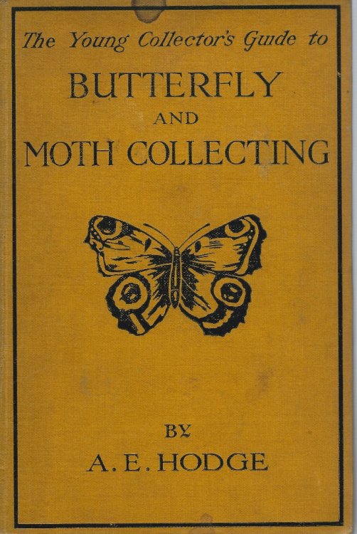 The Young Collector's Guide to Butterfly and Moth Collecting