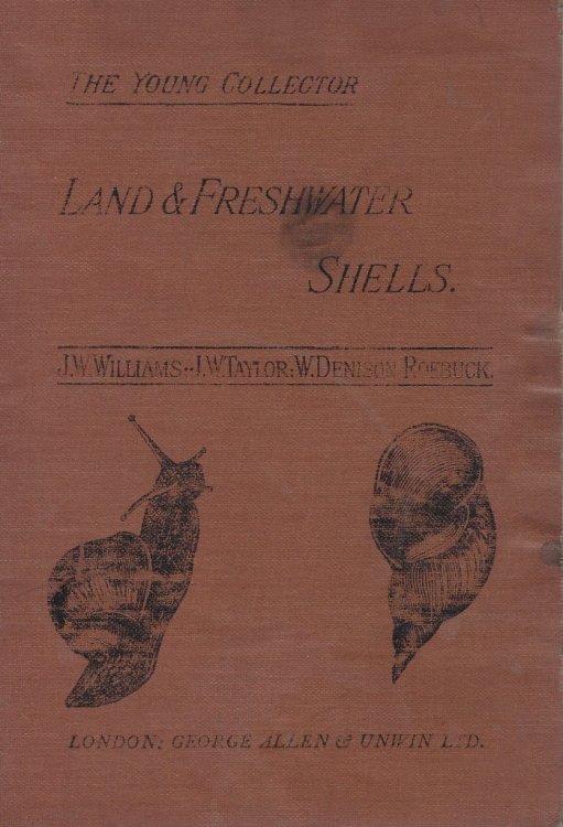 Land and Freshwater Shells: an introduction to the study of conchology [Young Collector seres]