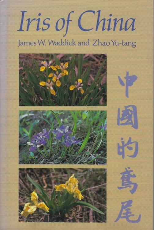Iris of China