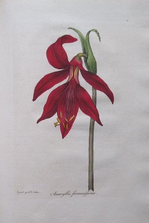 The Botanic Garden; A Poem in Two Parts. Part I, containing The Economy of Vegetation. Part II - The Loves of the Plants