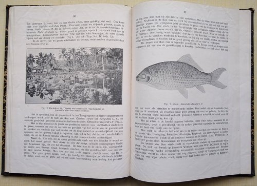 De tropische natuur - orgaan van de Nederlandsch-Indische Natuur-Historische Vereeniging. Jaargang V and X.