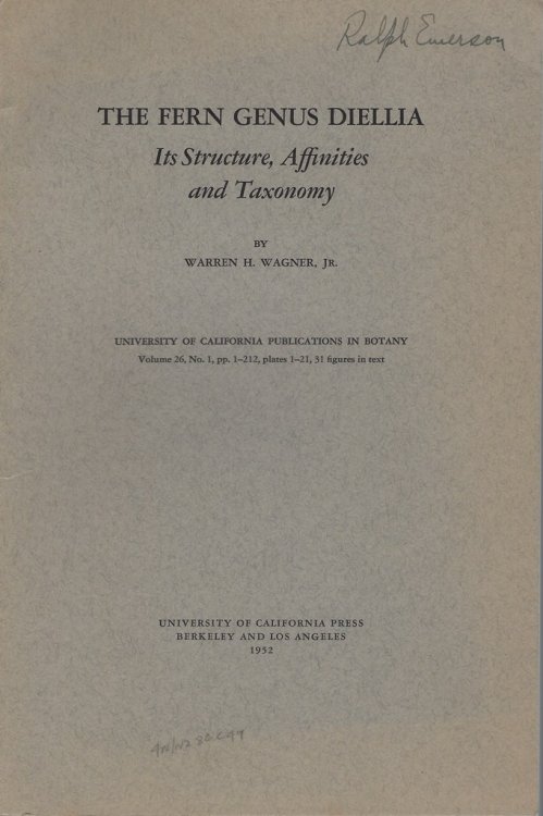 The Fern Genus Diellia - its structure, affinities and taxonomy