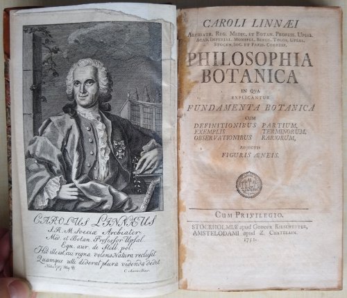 Philosophia botanica in qua explicantur fundamenta botanica cum definitionibus partium, exemplis terminorum, observationibus rariorum, adjectis figuri [with a possible variant frontispiece]
